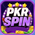 PakSpin Game Logo