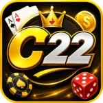 C22 Game