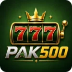 PAK500 Game Logo